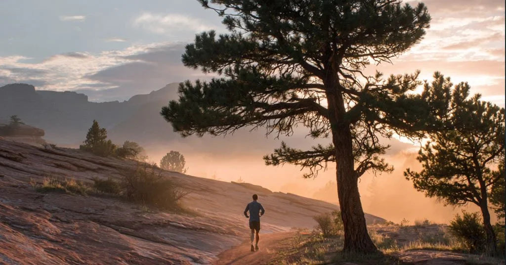 What We've Been Up To Lately: Tracksmith and NZTE