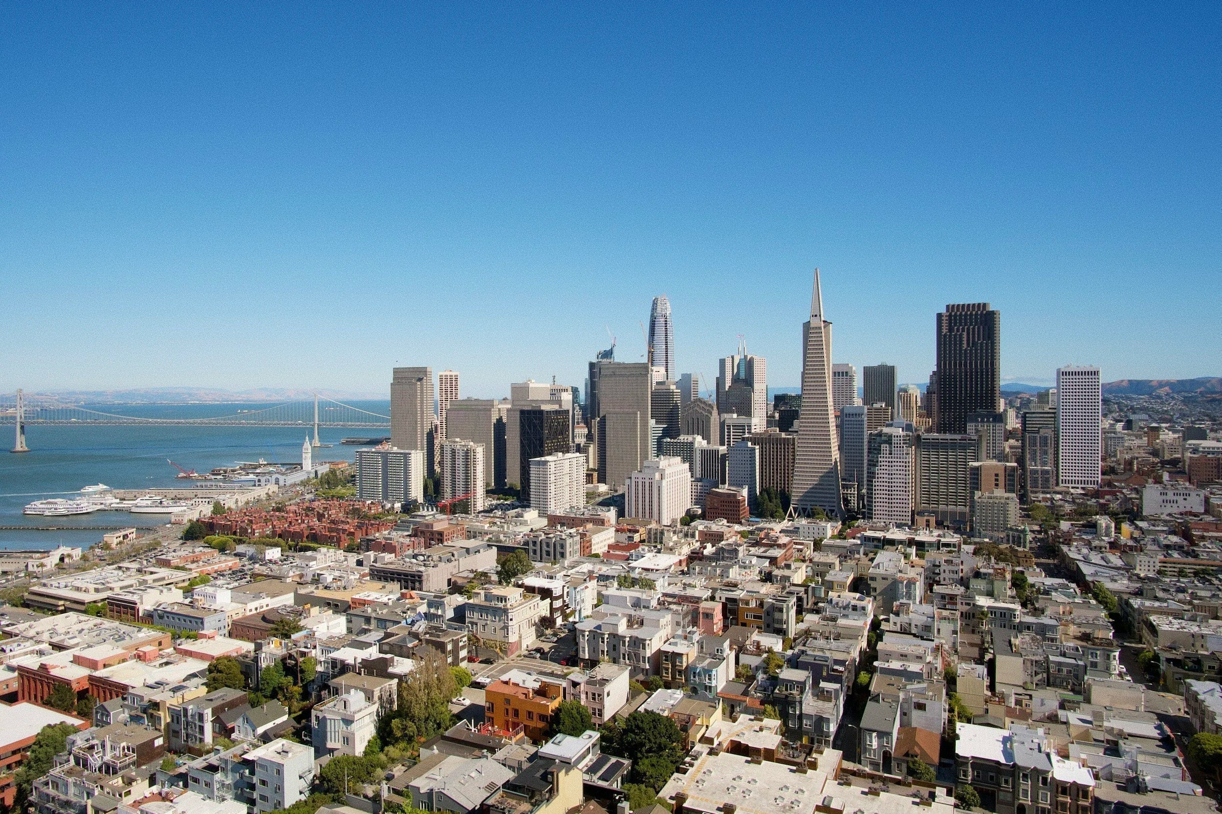 Advice from a CMO in Economic Uncertainty