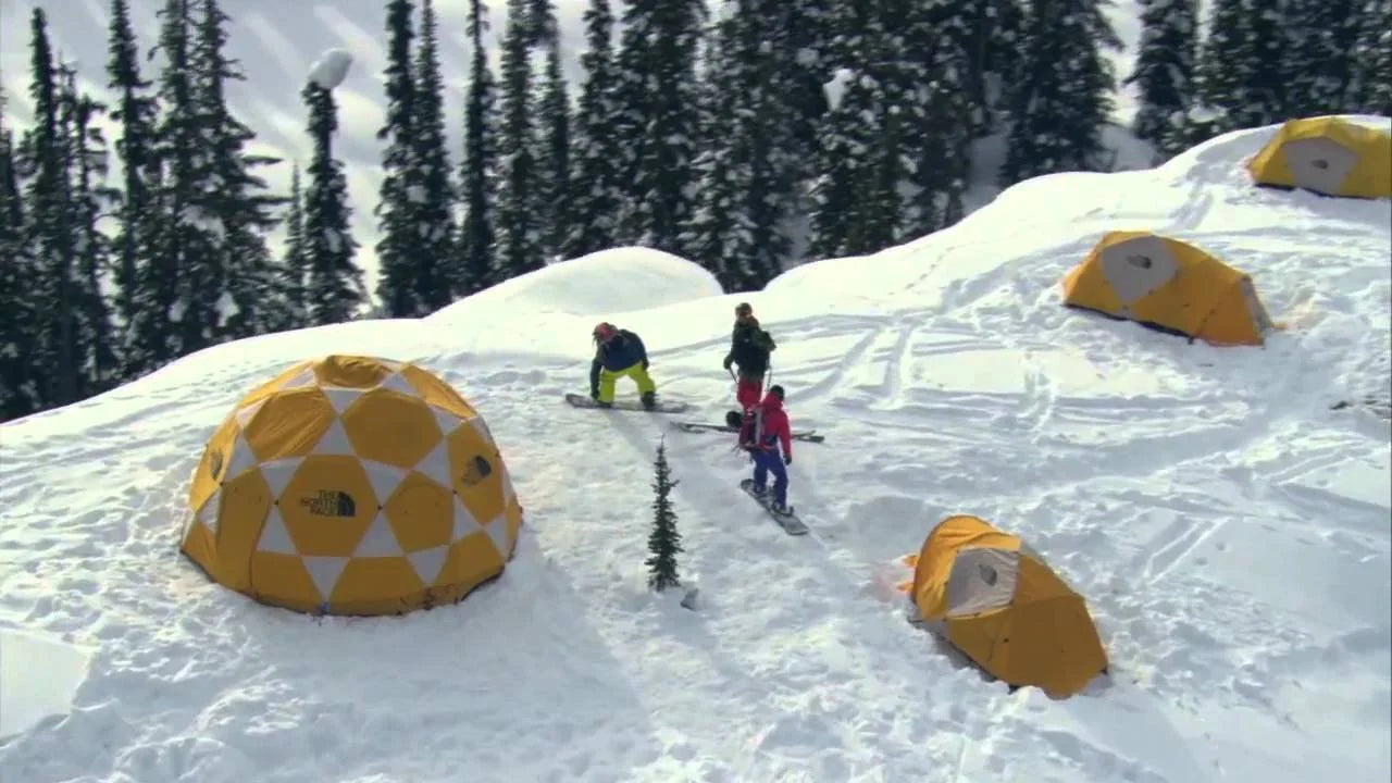 Getting Global Team Buy-In to Scale a Billion-Dollar Brand