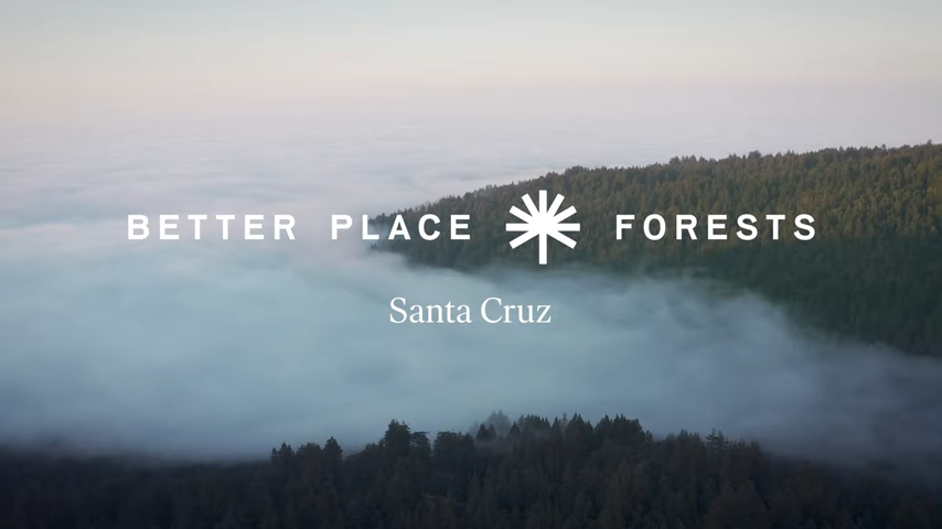 Load video: Better Place Forests x Santa Cruz